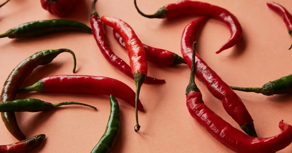 Rewarming vegetarian chili